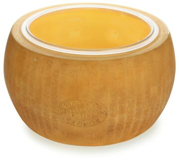 Boska Cheese Replica Parmigiano Reggiano - with Dish