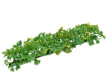 Garnish Refill Luxury Parsley (12 Pack) (250mm) Green