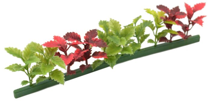 Garnish Refill Red/Green Coleus (12 Pack) (250mm) Red & Green