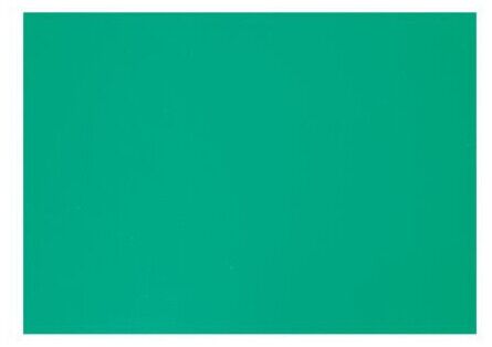 Boska Cheese Cutting Board HACCP Green 450 x 330 x 20 mm