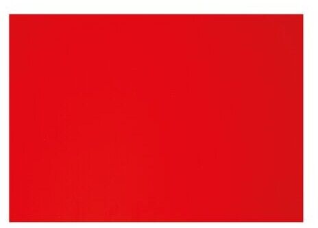 Boska Cheese Cutting Board HACCP Red 450 x 330 x 20 mm